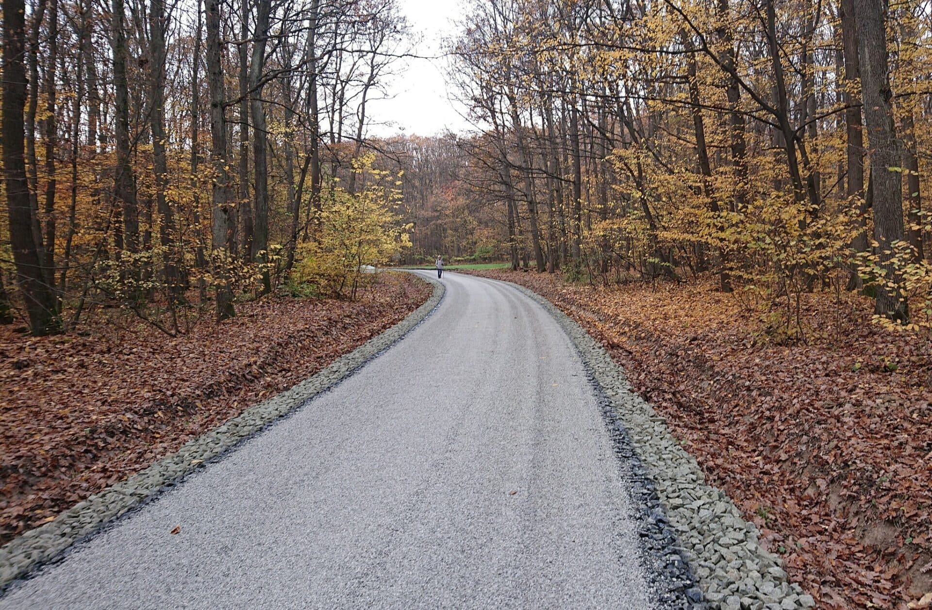Upravilo sa 2,5 km účelovej lesnej cesty