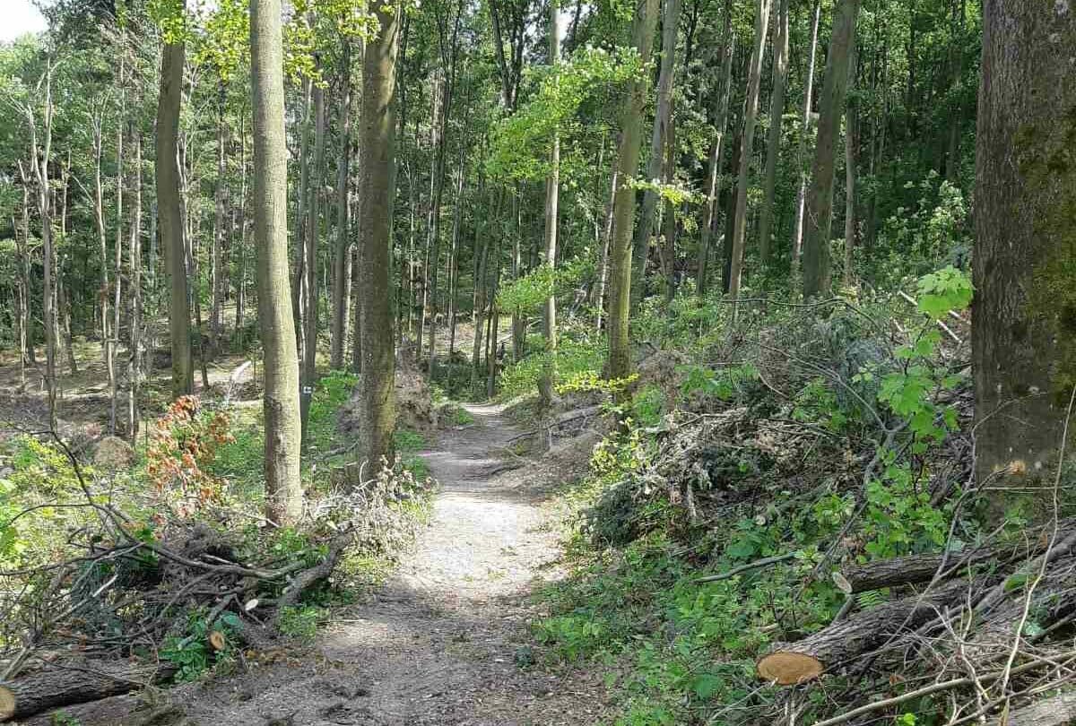Modrý turistický chodník Baránok – Alpinka a Stará bankovská je opäť prechodný