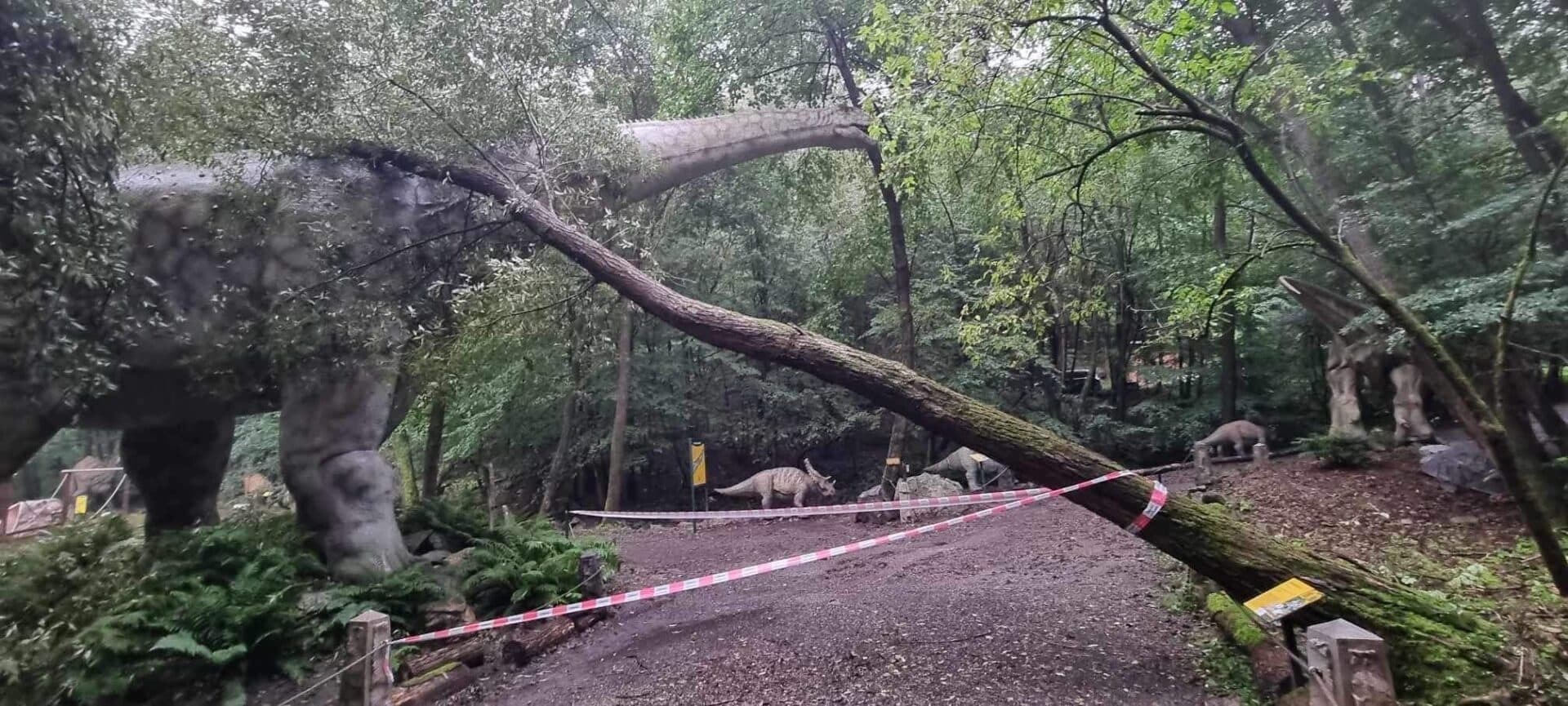 Smutné ukončenie prázdnin v košickej ZOO: Búrka vytopila areál tučniakov (FOTO)