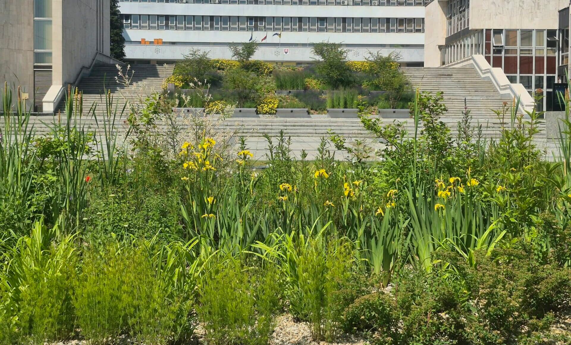 Schodisko pred magistrátom získalo zelený šat (FOTO)