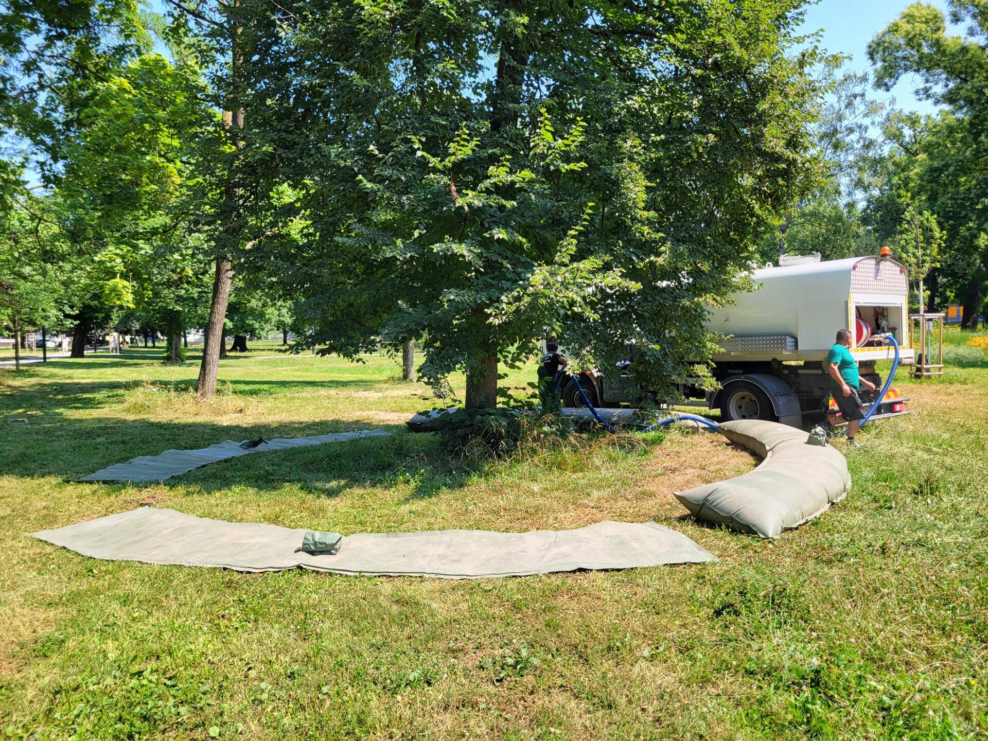 Zdroj: Meta/Správa mestskej zelene v Košiciach