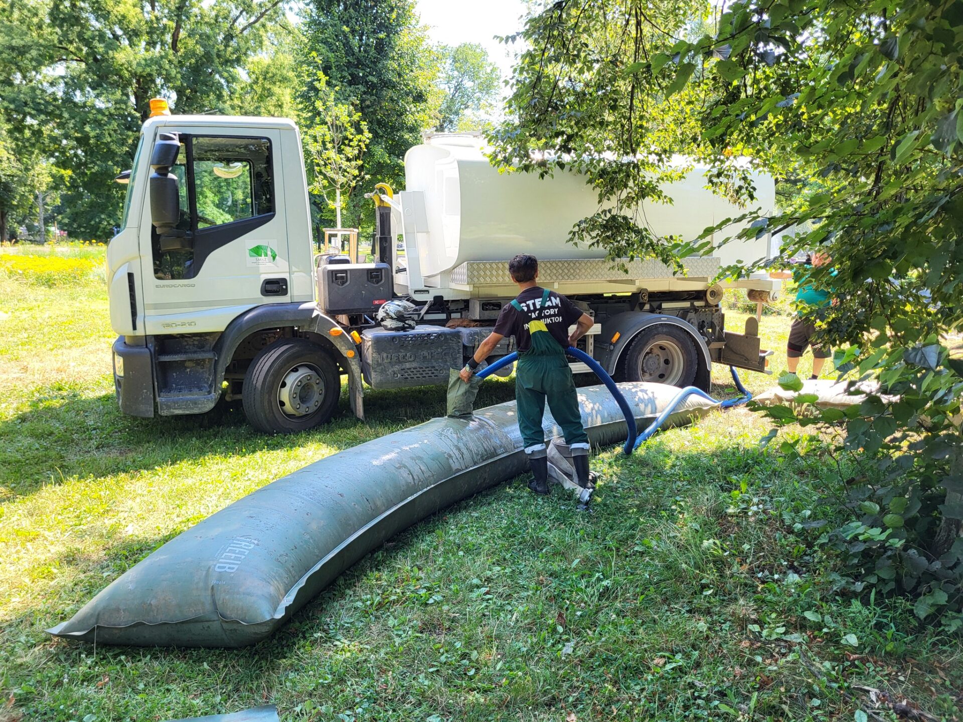 Zdroj: Meta/Správa mestskej zelene v Košiciach