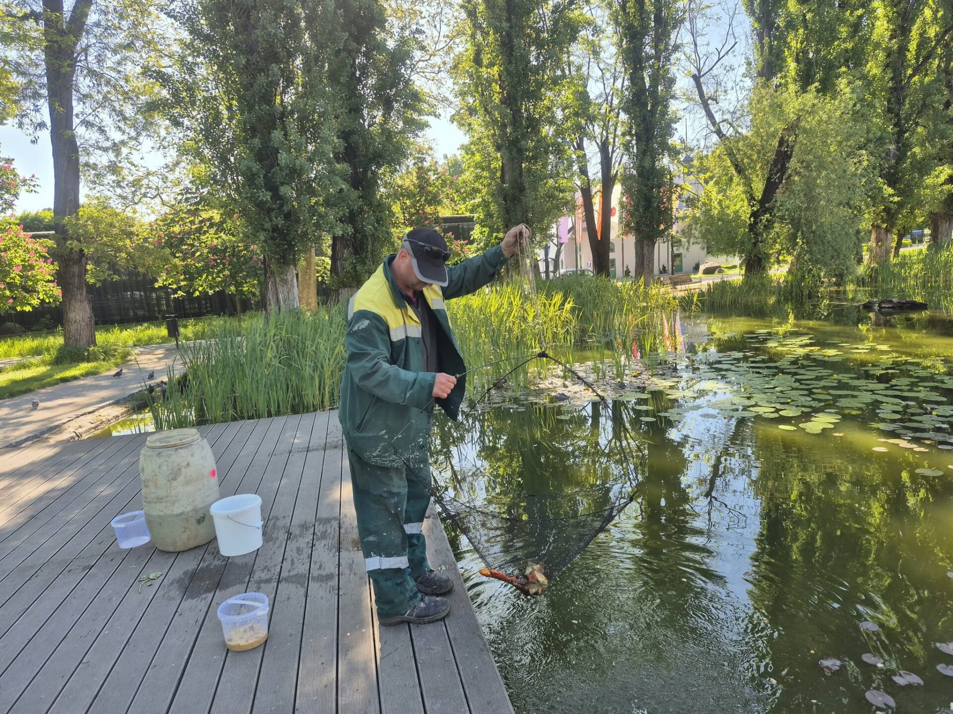 Zdroj: META/ Správa mestskej zelene v Košiciach