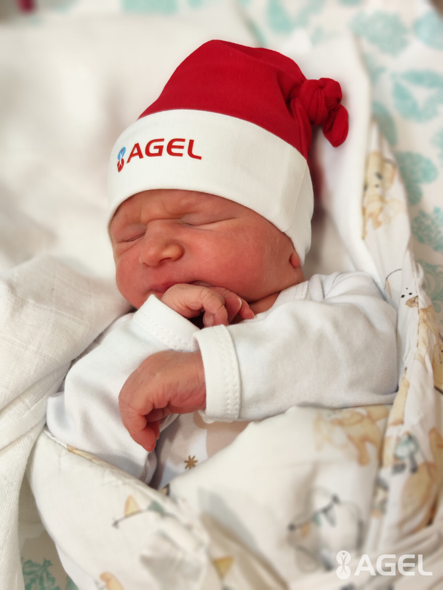 Zdroj: Agel