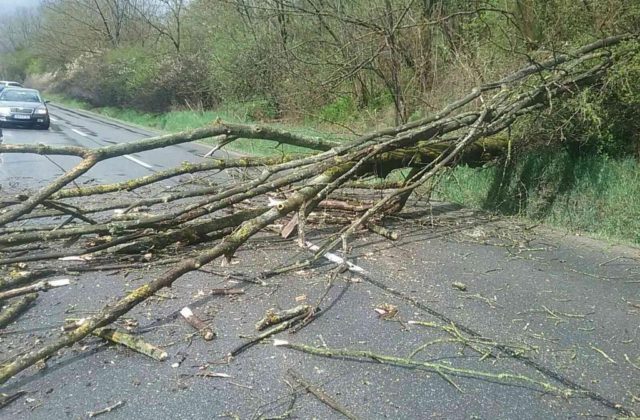 Silný vietor strháva strechy či váľa stromy, hasiči sú v pohotovosti