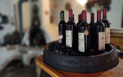 Milovníci vína sa stretnú na podujatí Chateau WINE festival