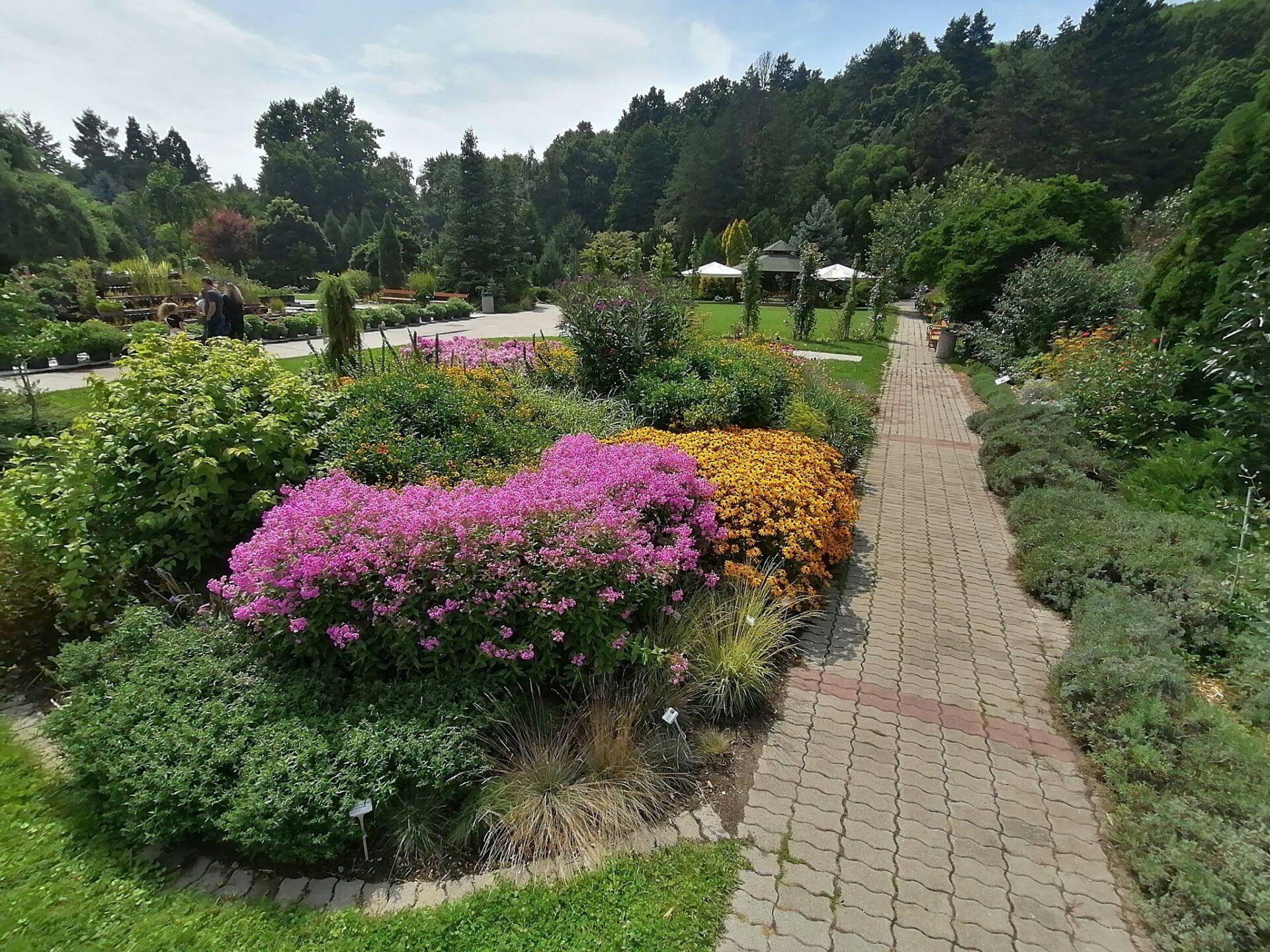 V Botanickej záhrade pribudne nový náučný chodník za viac ako 35-tisíc eur
