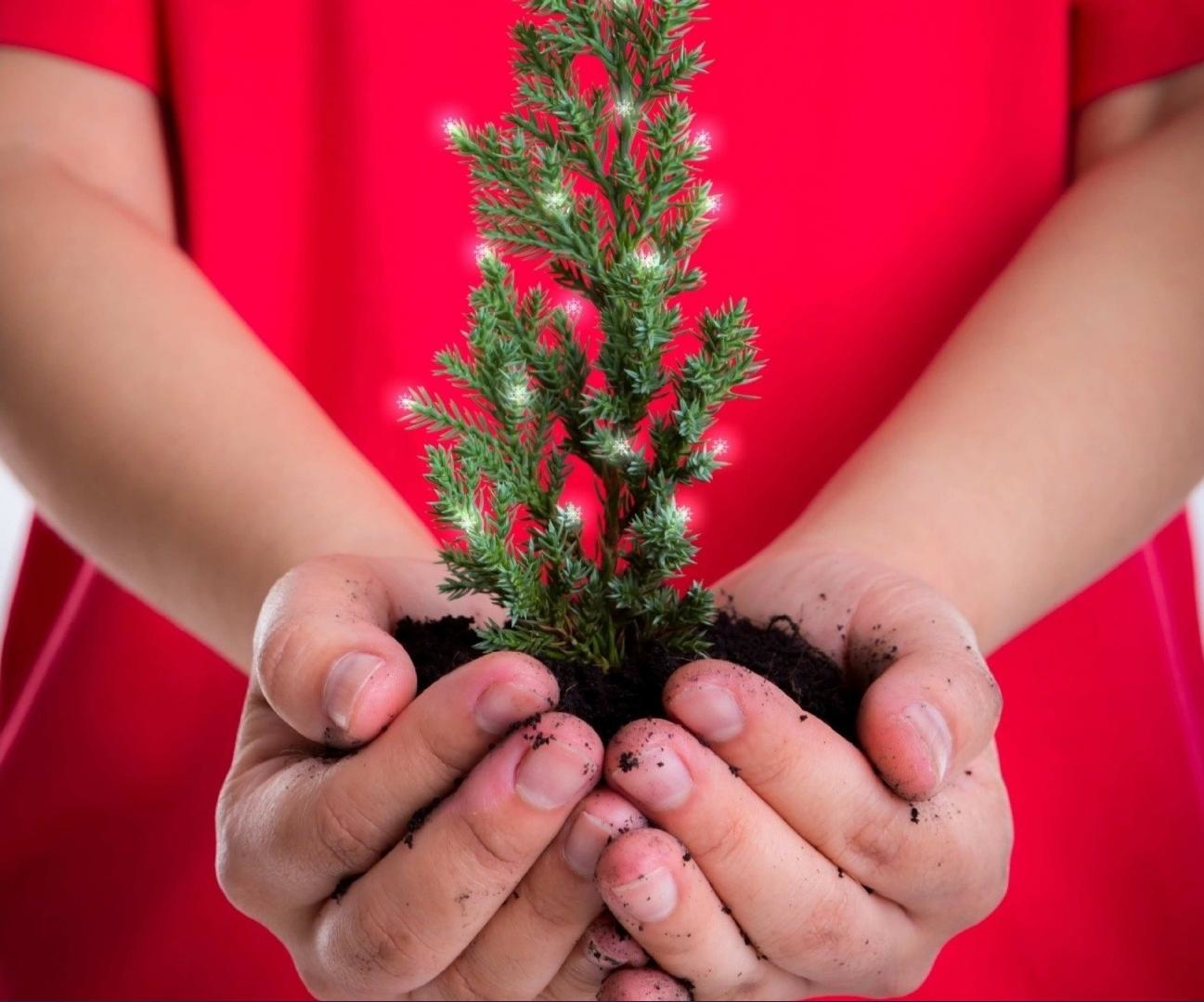 Vianočné sviatky predstavujú nadmernú záťaž pre životné prostredie a klímu