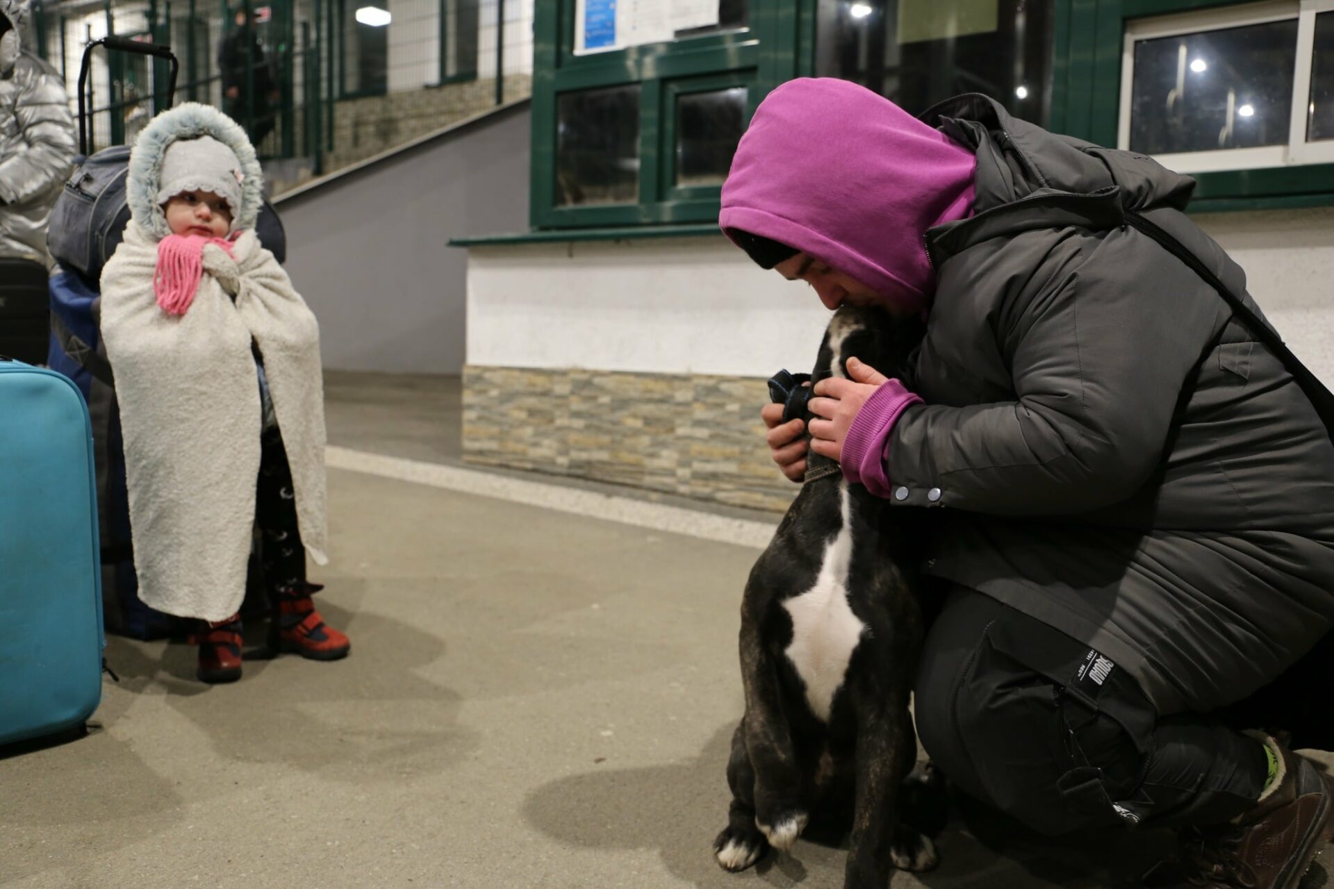 Slovensko prijíma na hraniciach už aj zvieratá, ako môžete pomôcť?