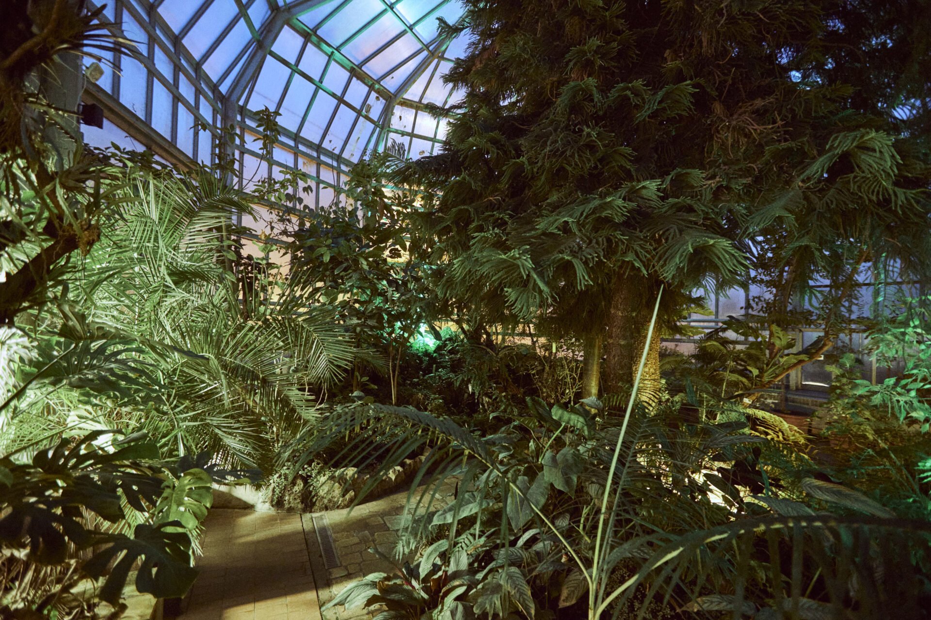 Botanická záhrada UPJŠ v Košiciach má novú audiovizuálnu atrakciu. Ožíva aj v noci (FOTO)