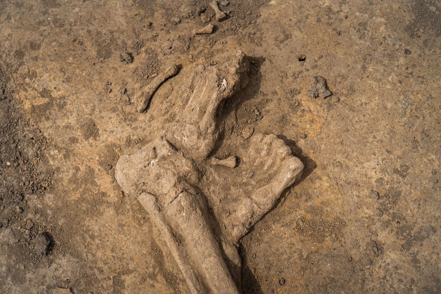Historický nález na stavenisku R2! Archeológovia objavili hroby z doby bronzovej