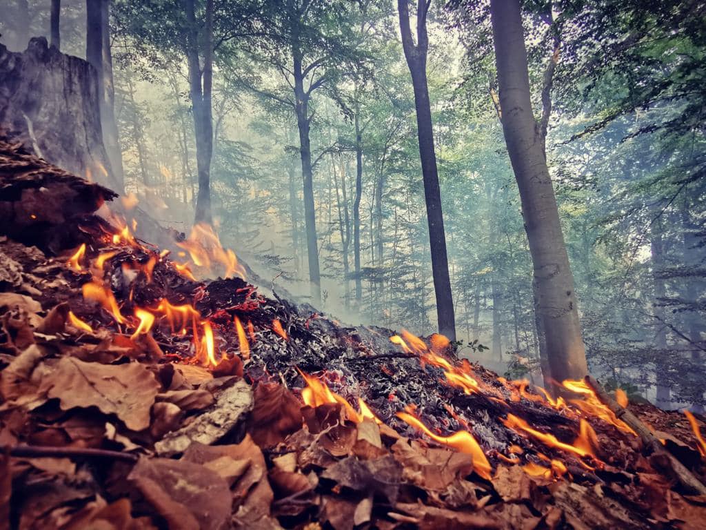 Hasičské autá na boj proti lesným požiarom vyjdú na 2,7 milióna eur