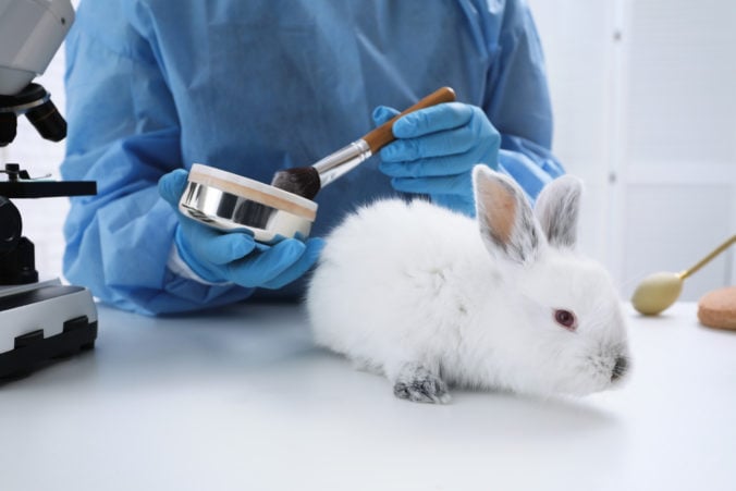 Ukončiť testovanie na zvieratách v EÚ má pomôcť petícia a nová kampaň. Pomôcť môžete aj vy