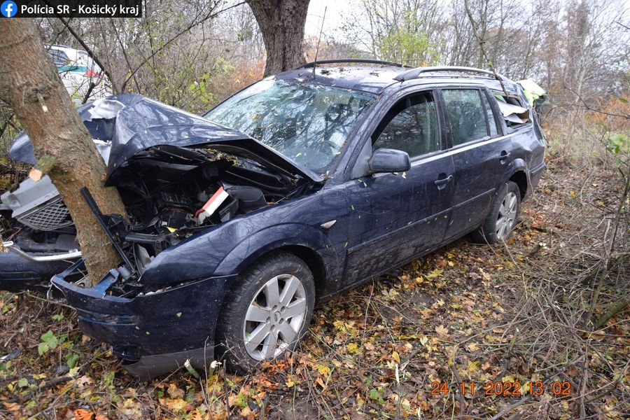 Pri dopravnej nehode “zaparkoval” auto do stromu (FOTO)