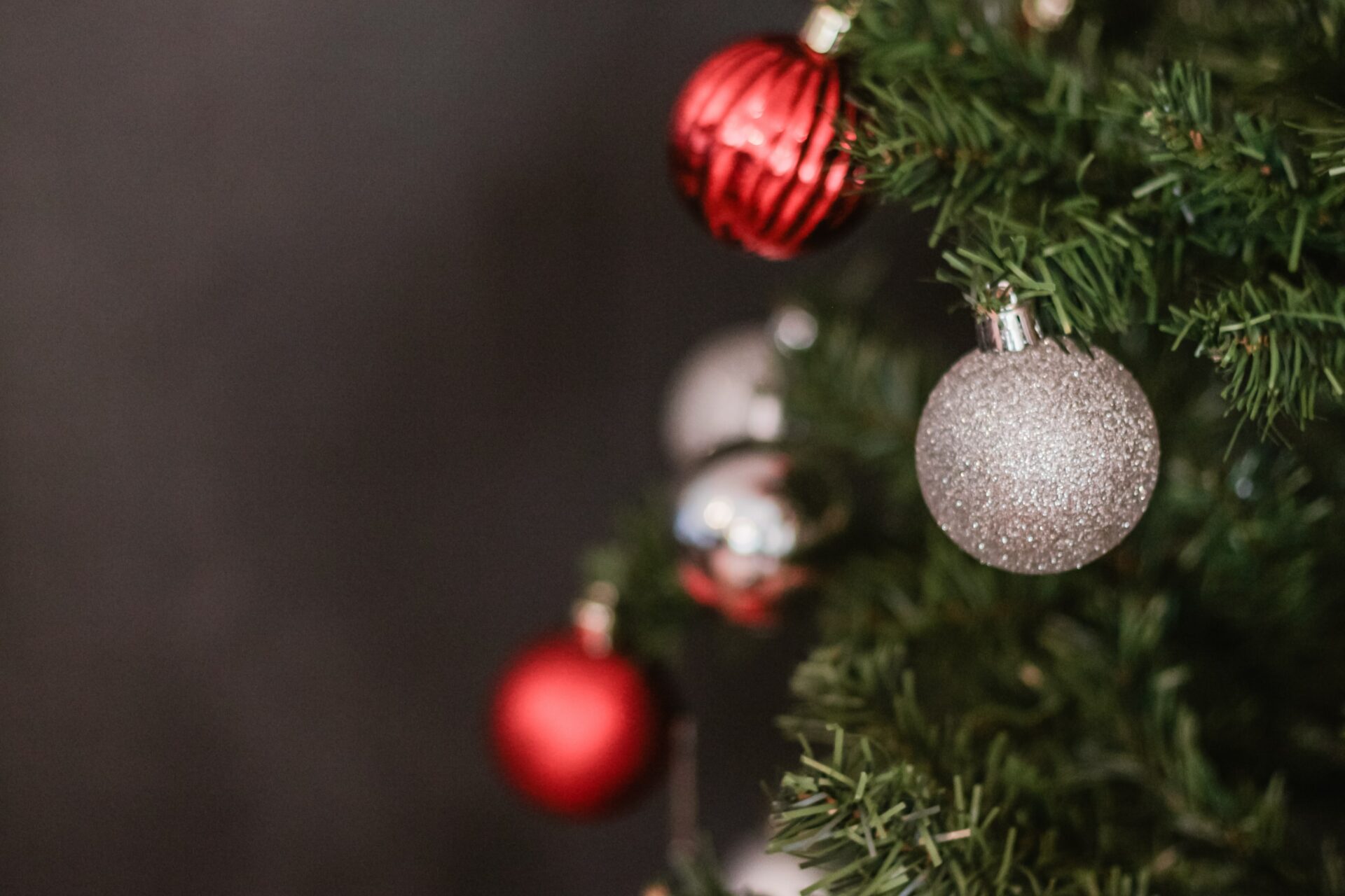 Ako si správne vybrať vianočný stromček a zároveň byť EKO?