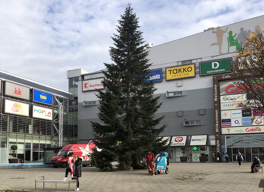 Prvý vianočný stromček v Košiciach už stojí! (FOTO)