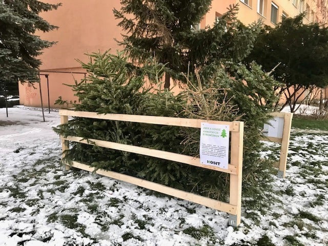 Na TÝCHTO miestach budú v Košiciach rozmiestnené ohrádky na vianočné stromčeky