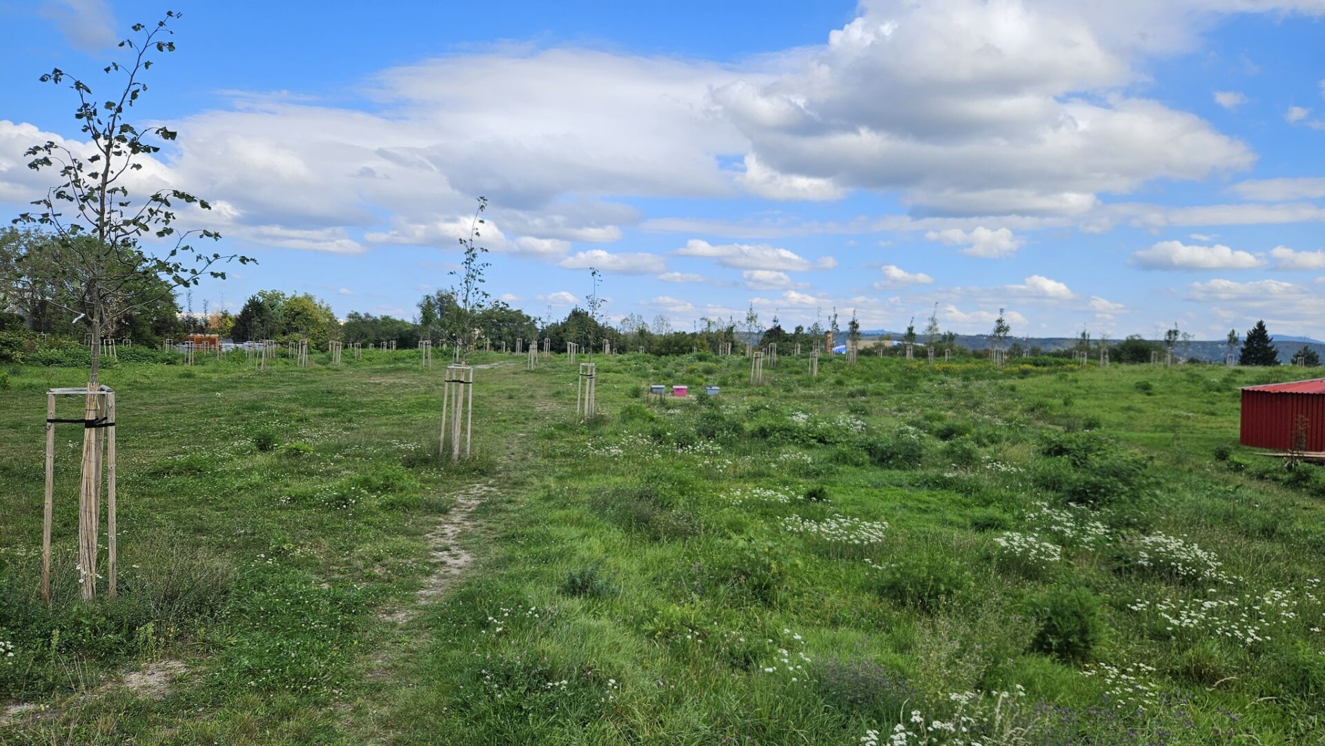 V Košiciach môže vzniknúť ďalší obrovský park. Rozhodnite, ako bude vyzerať (FOTO)