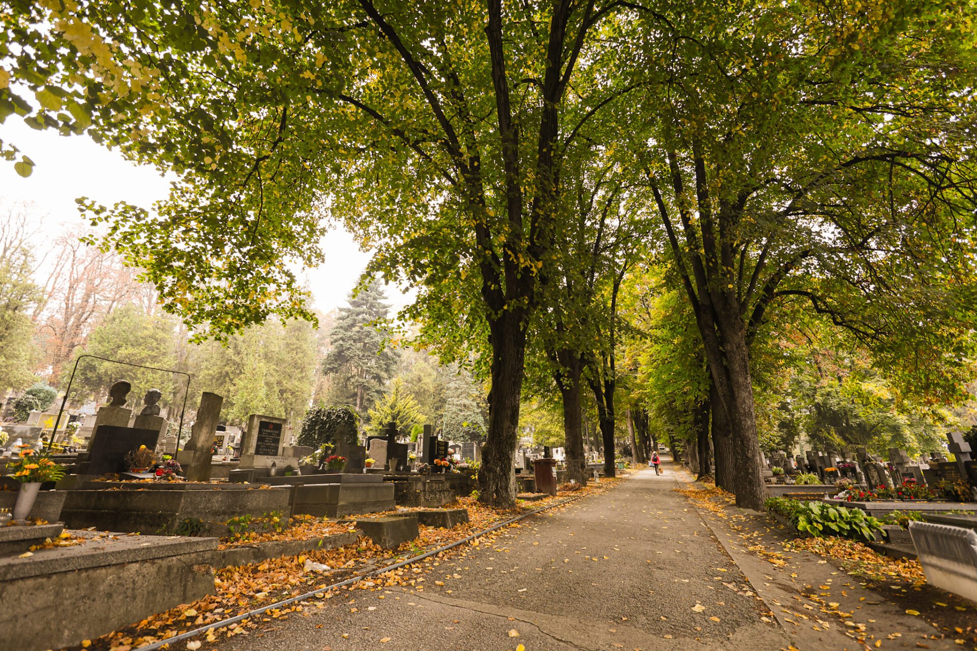 Imobilní návštevníci Verejného cintorína si môžu objednať odvoz až k hrobom