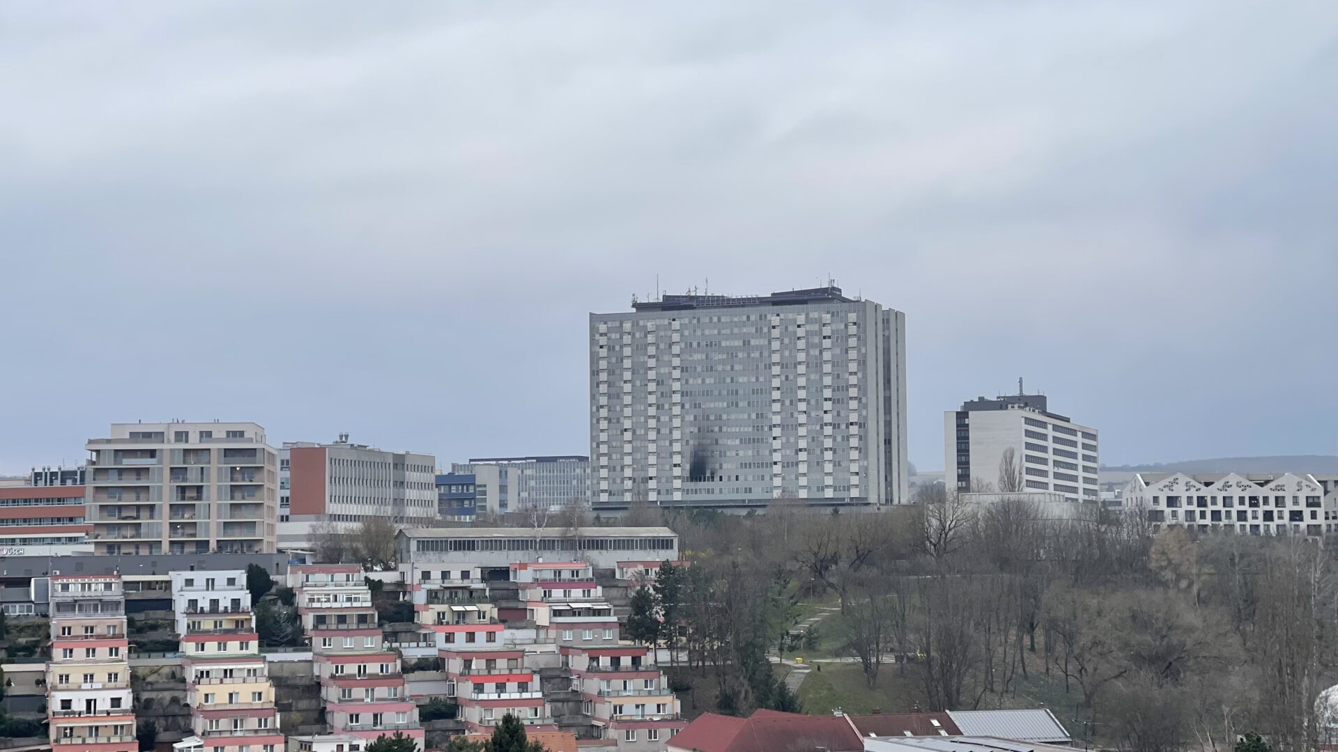 čitateľ