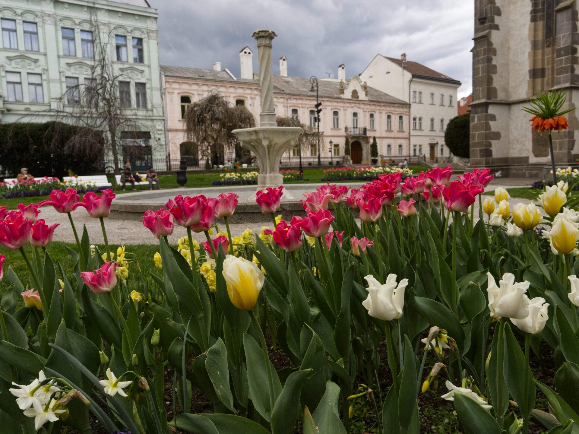 Do Košíc už zavítala jar. Mesto skrášľuje viac ako milión kvetov a tisícky drevín (FOTO)