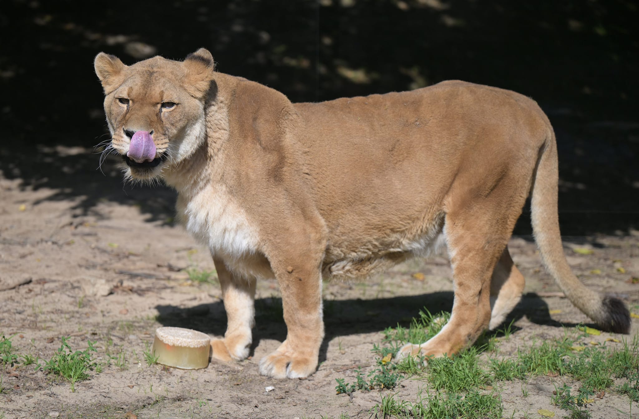META/ZOO Košice