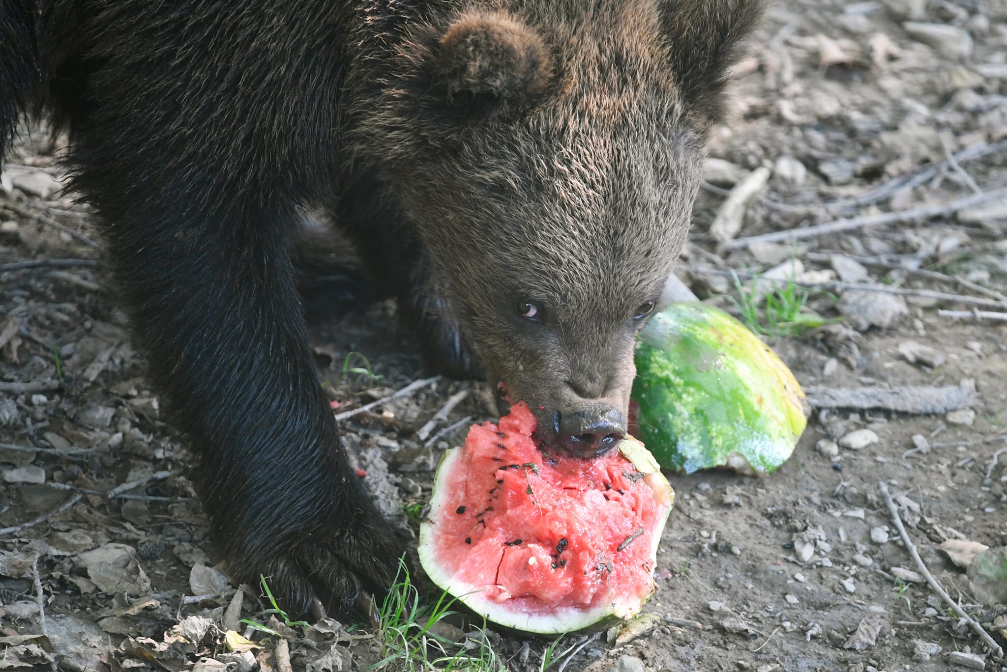 META/ZOO Košice