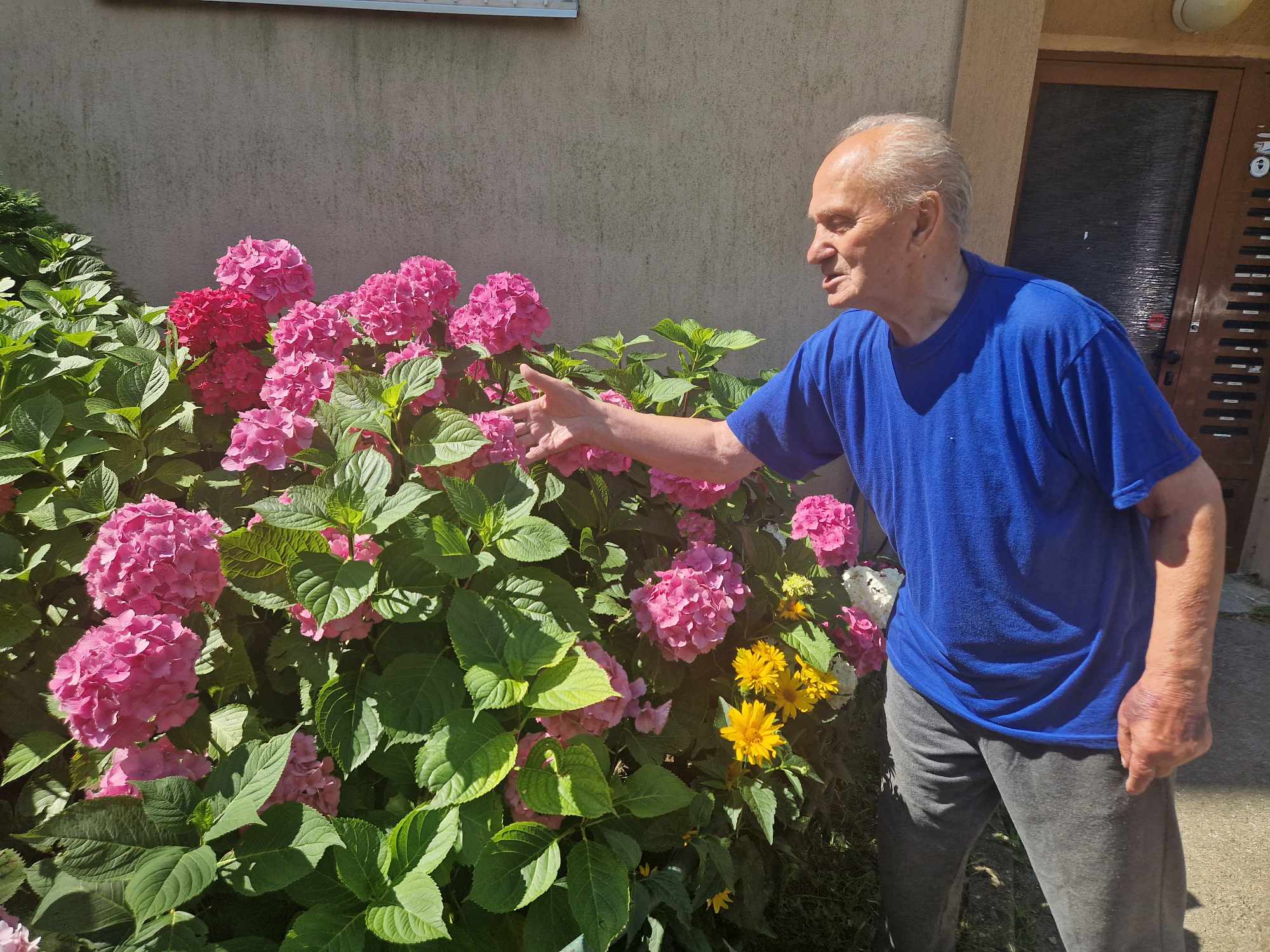 90-ročný záhradník Pavel Sedlák skrášľuje Staré Mesto (FOTO)