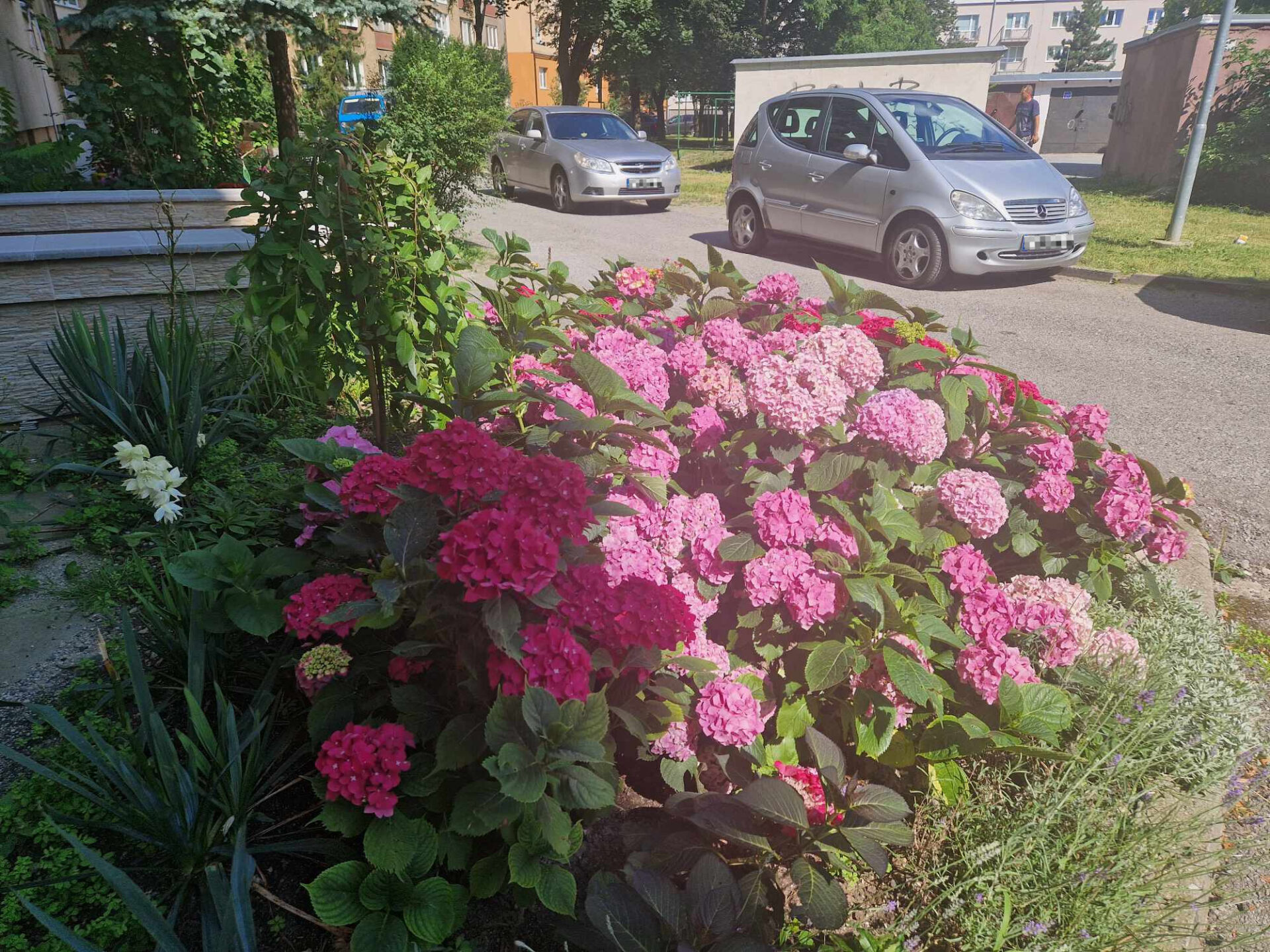 META/MČ Košice-Staré Mesto-oficiálna stránka