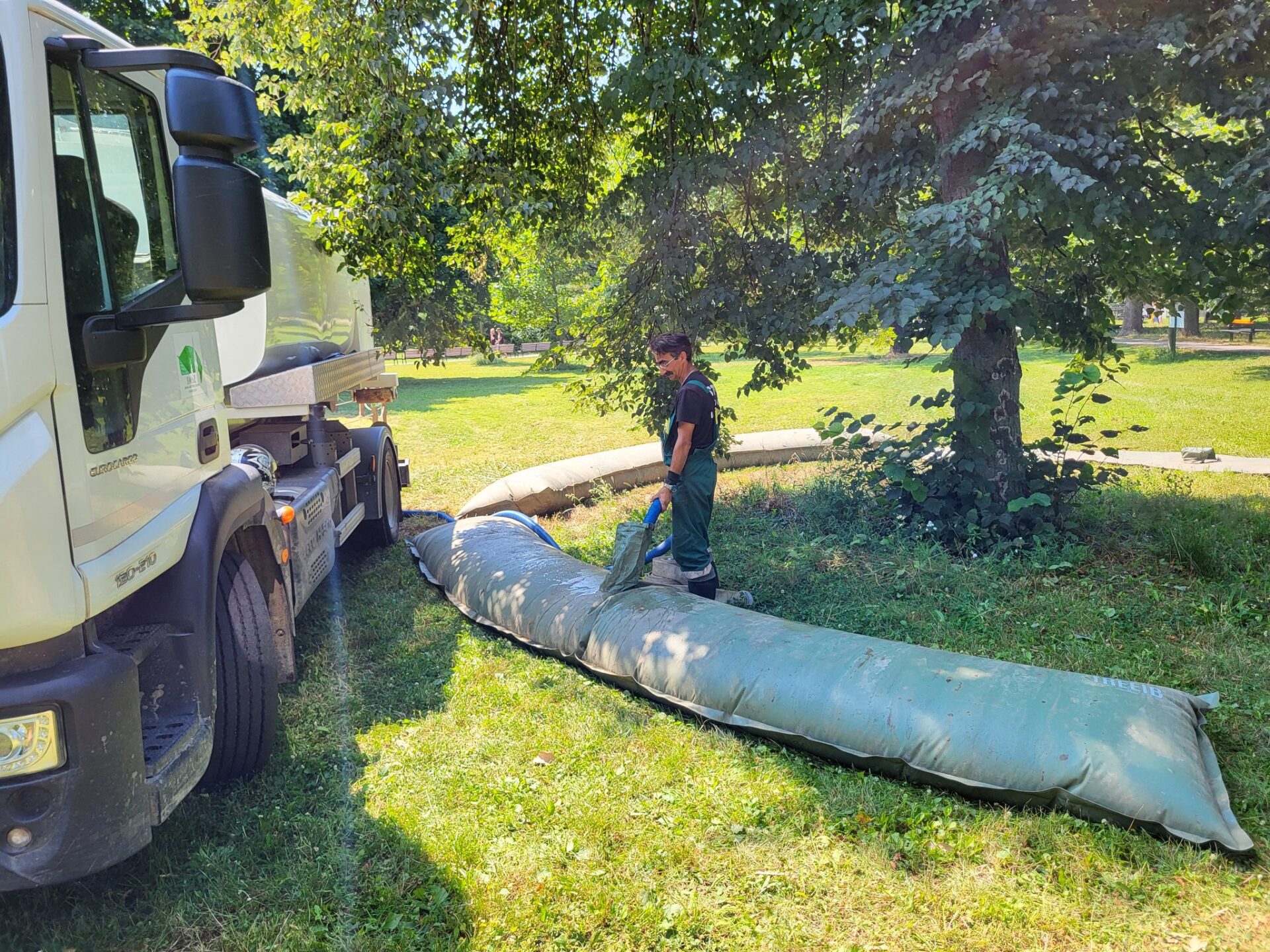 Veľkokapacitné vaky zachraňujú stromy v Košiciach pred suchom (FOTO)