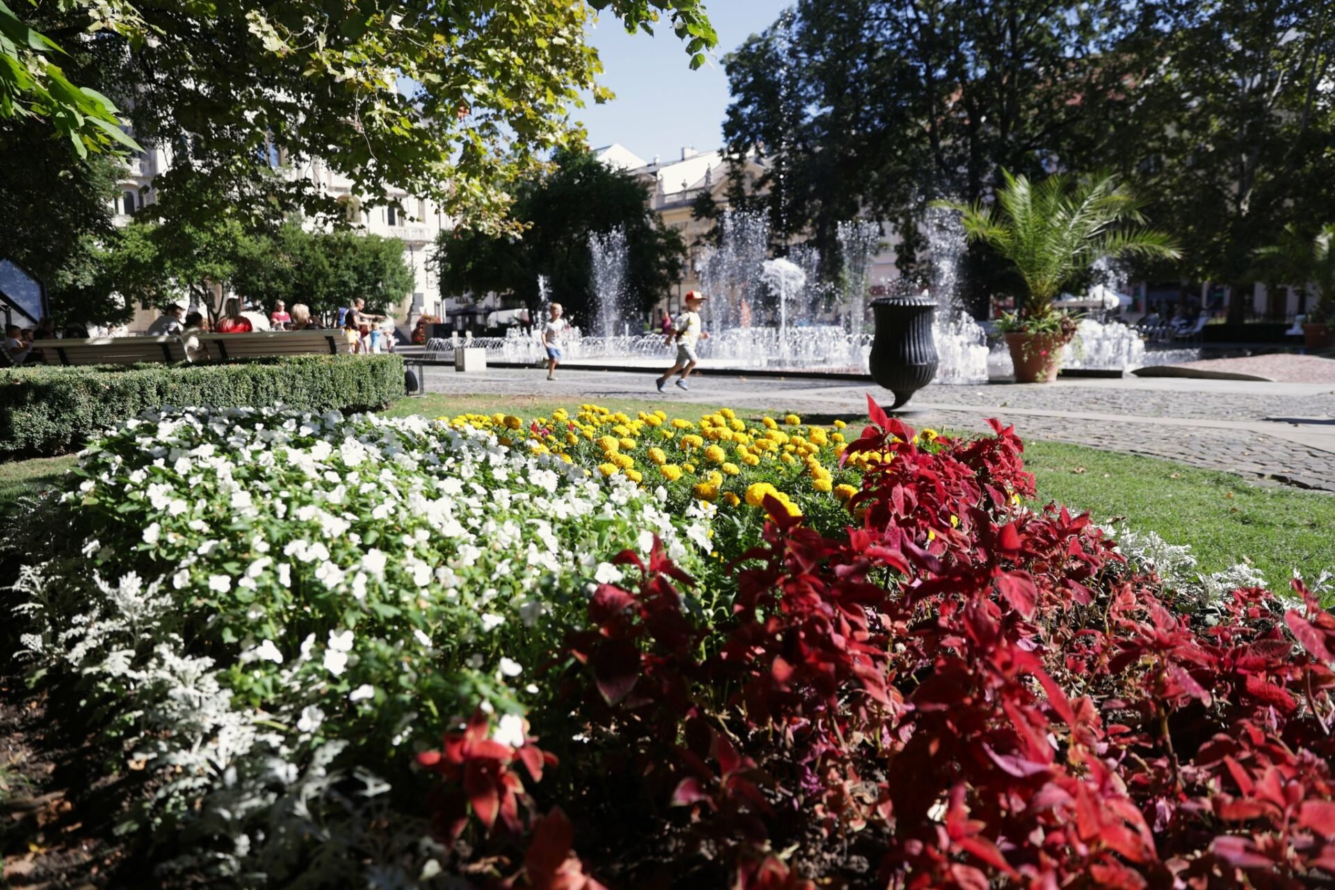 Košice sú plné farieb! Hlavná ulica rozkvitla kvetmi (FOTO)