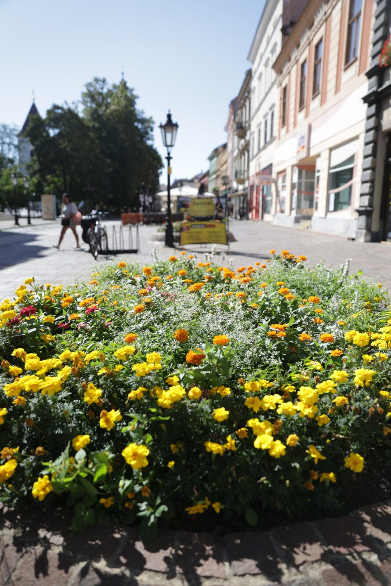 META/Košice - Mesto Košice