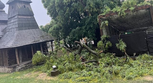 Padnutý strom takmer poškodil historickú pamiatku v centre