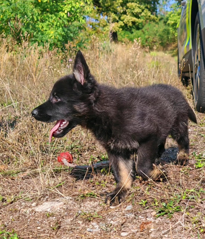 META/Polícia SR - Košický kraj