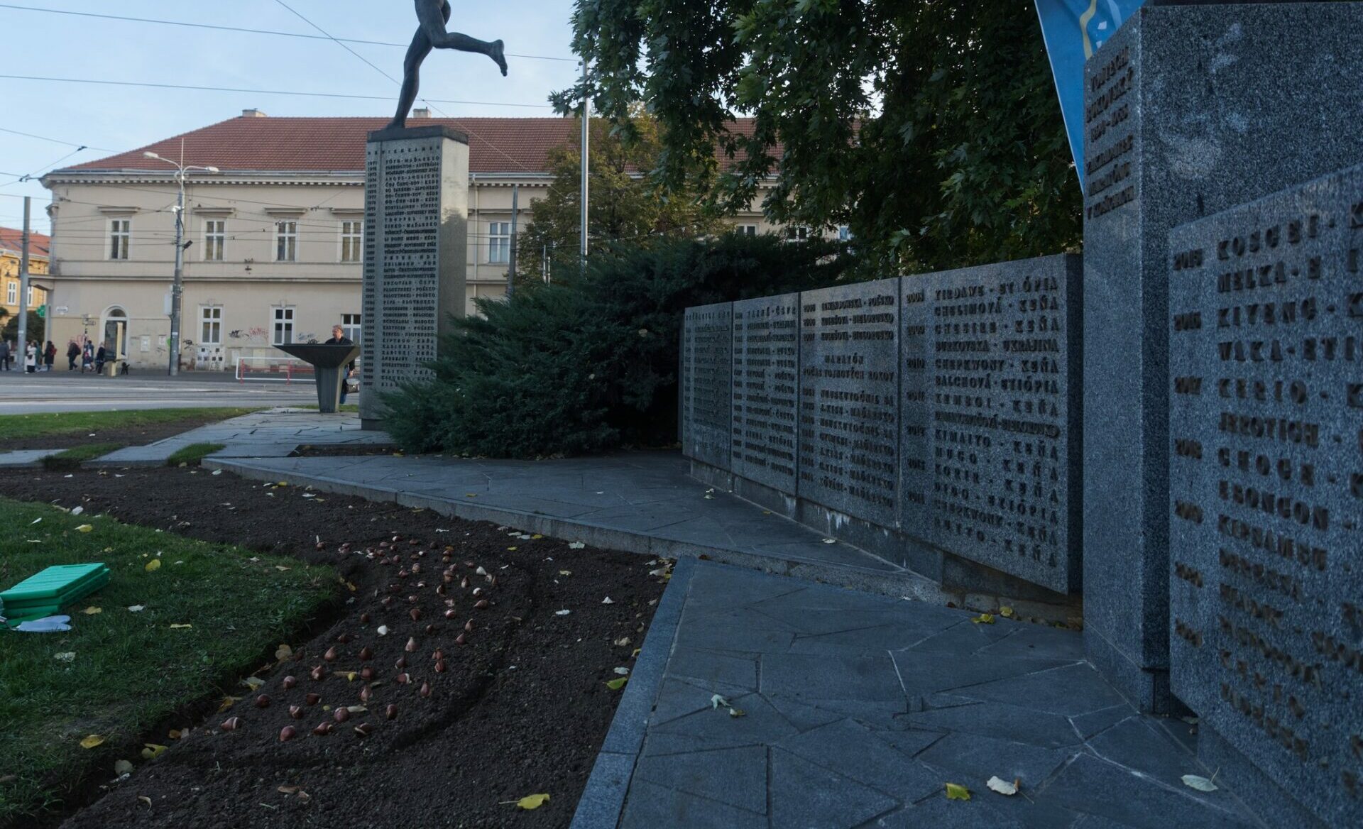 Holandské veľvyslanectvo darovalo Košiciam vzácne tulipány