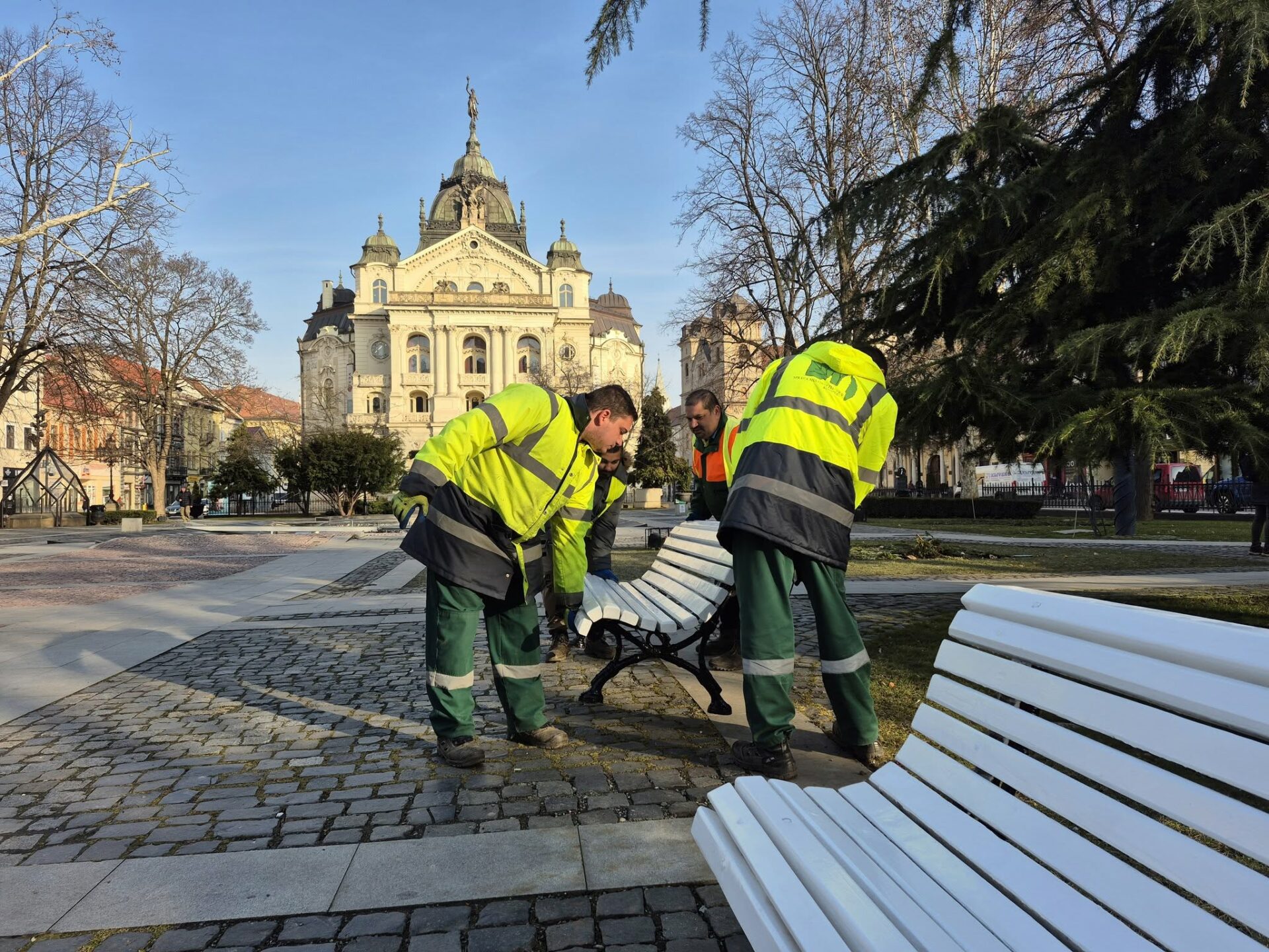 Zdroj: META/Správa mestskej zelene v Košiciach