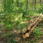 Ťažbové práce pri Košiciach ovplyvnia cyklotrasu Sokoľ – Kráľova studňa