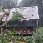 Mestské lesy Košice spúšťajú práce pri Kráľovej studni, útulňa sa zatvára