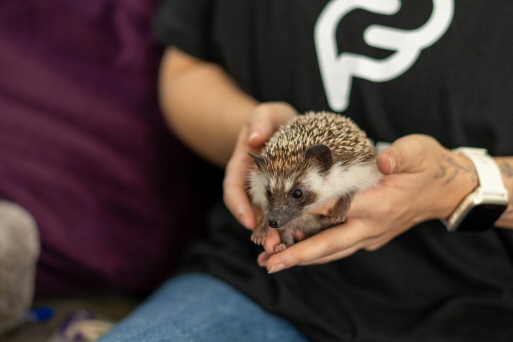 FOTO: Ladislav Miko | KOŠICE: DNES