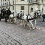 V Košiciach ukladajú na posledný odpočinok rómskeho kráľa Róberta Botoša (FOTO)