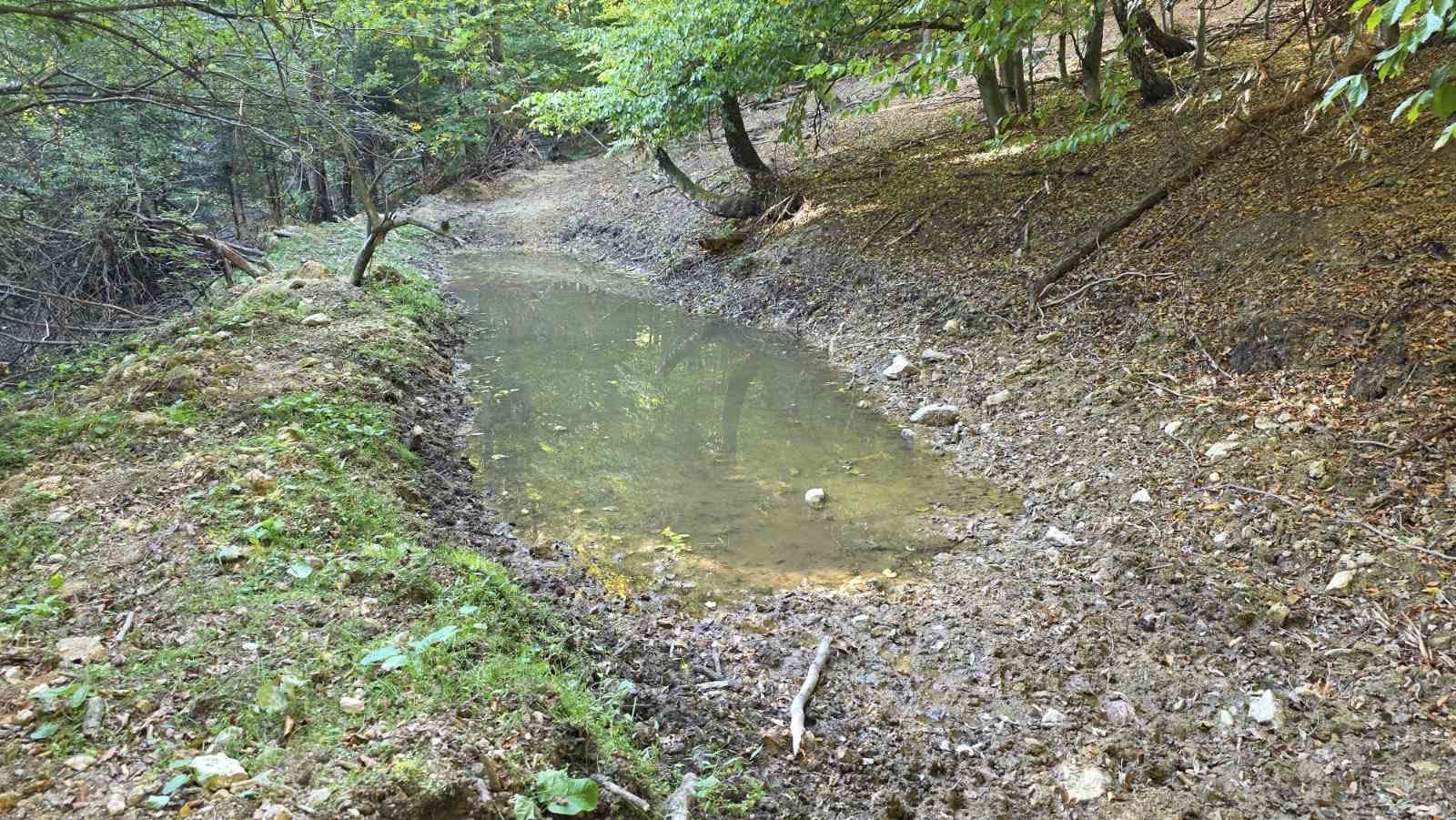 Fotografia k článku Mestské lesy Košice zadržiavajú vodu v lesoch pomocou malých vsakovacích jám