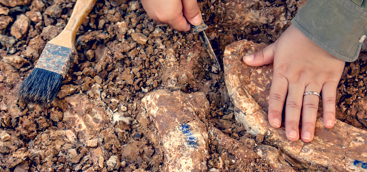 Vedci z košických univerzít objavili v Iráne pozostatky dinosaurov
