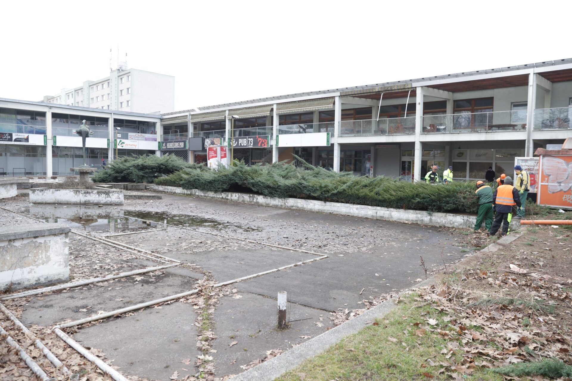 META/Správa mestskej zelen v Košiciach