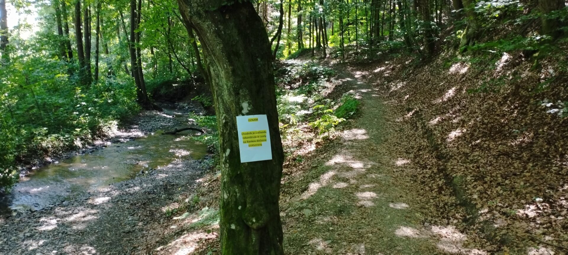 Zdroj: Meta/Košice - Mesto Košice